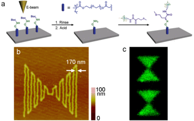 Electron-beam patterning of an aminooxy-containing polymer to produce protein nanopatterns.