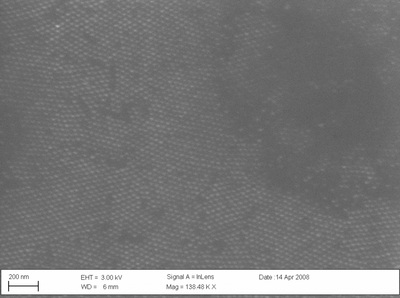 Fig 3 Scanning electron microscope image 