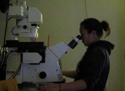 Trainee using laser scanning confocal microscopy