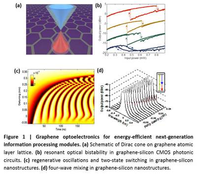 Graphene optoelectronics for energy-efficient next-generation information processing modules