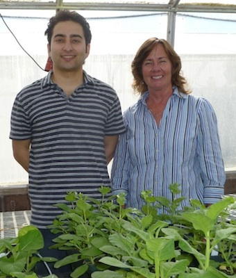 Lucas Arzola and Karen McDonald in their greenhouse