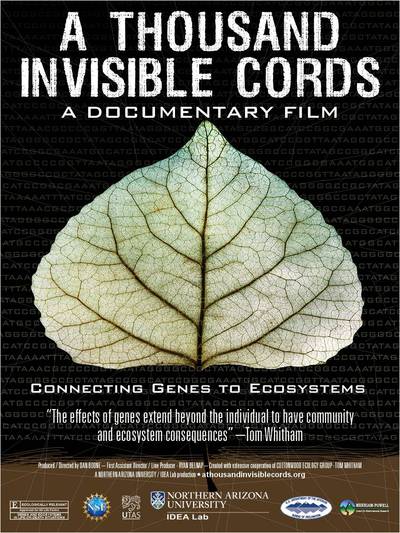 Poster advertising the "A Thousand Invisible Cords" premiere