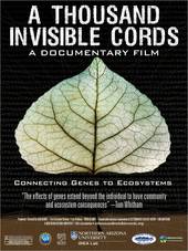 0549505_2012_a_thousand_invisible_cords_poster