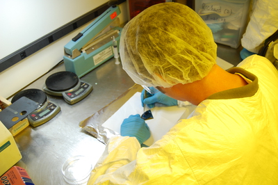 Bootcamp-a student peeling off the PDMS off of the patterned silicon piece