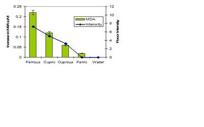 Figure 1. Metallic flavor intensity increases with oxidation expressed as malondialdehyde (MDA - lipid oxidation biomarker)