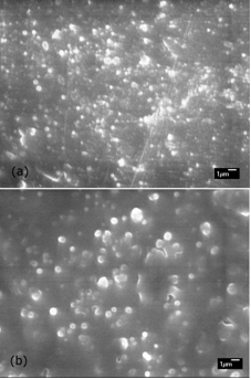 SEM images of (a) pH 11 mineral and (b) Sigma Aldrich hydroxyapatite.