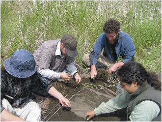 IGERT students conducting work in the Palouse prairie