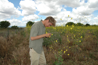 Rick Lankau in a black mustard patch