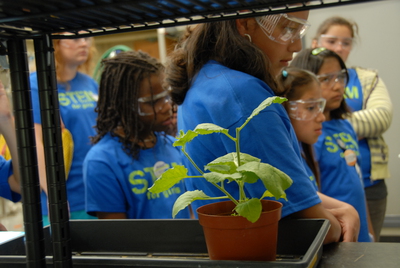 STEM Girls View Vaccuum Infiltration Procedure